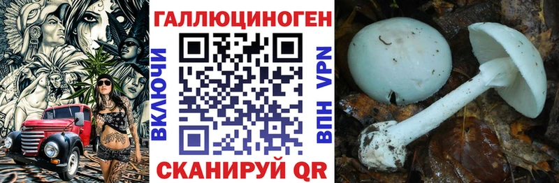 Галлюциногенные грибы Psilocybine cubensis Солнечногорск